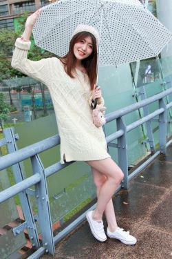 鹤唳华亭小说